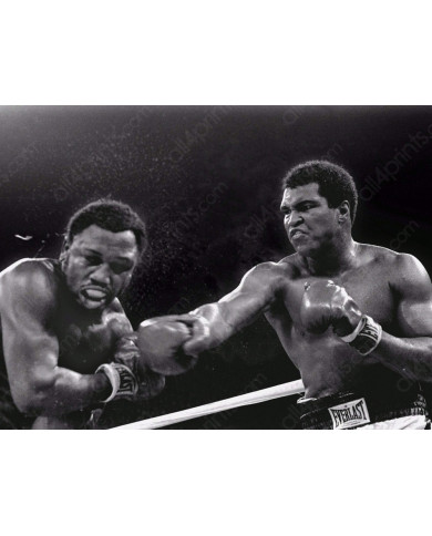 Muhammad Ali Muhammad Ali