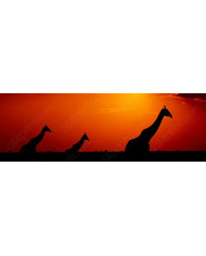 Vista panorámica de Touluse, Francia