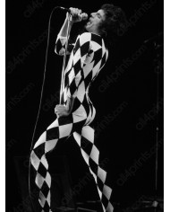 Freddie Mercury,concierto de Queen,1977