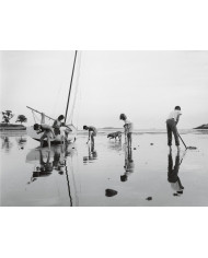 Black Beach, Massachusetts Bay, 1960