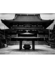 Mujer taiwanesa con vestido tradicional