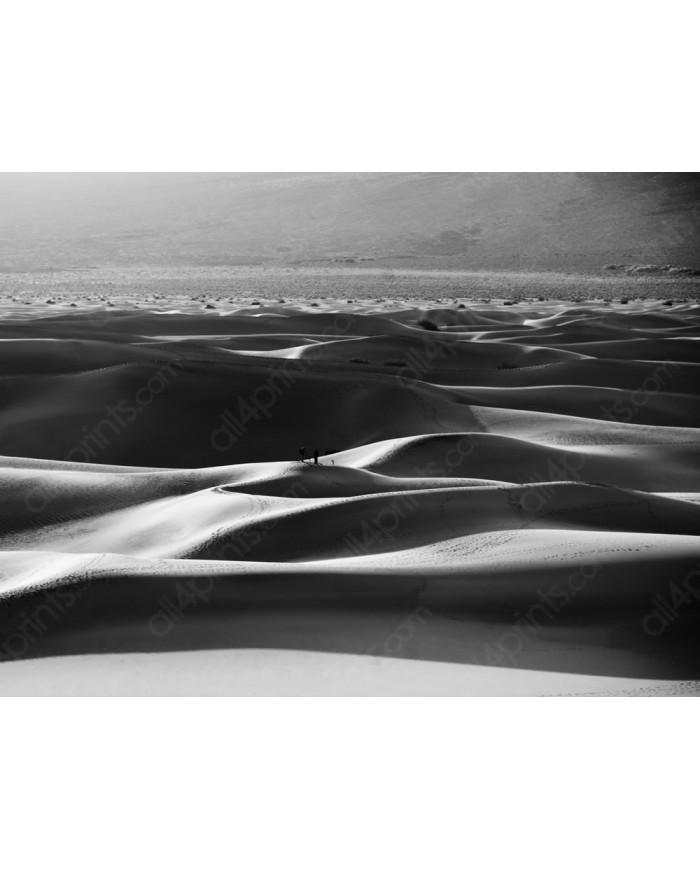 Death Valley National Park, USA