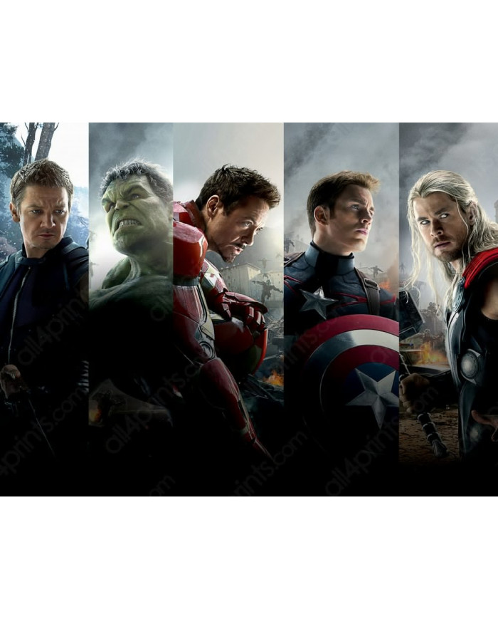 The Avengers Age of Ultron Team