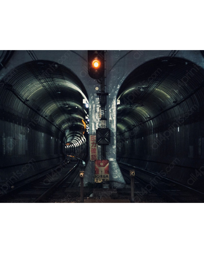 Metro de Tokio, Japón