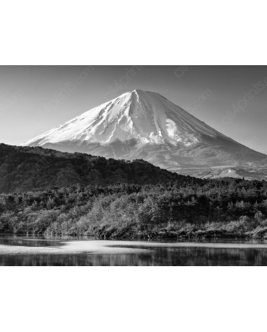 Monte Fuji,Japón Monte Fuji,Japón