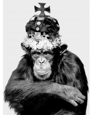El rey chimpazé