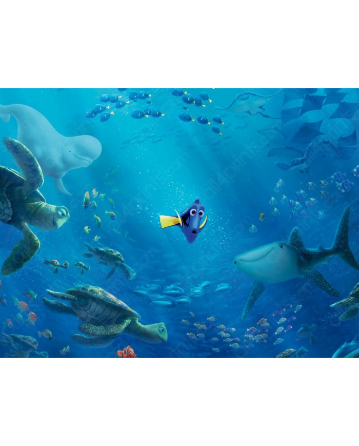 Buscando a Nemo