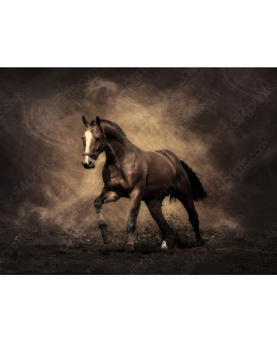 Caballo al trote Caballo al trote