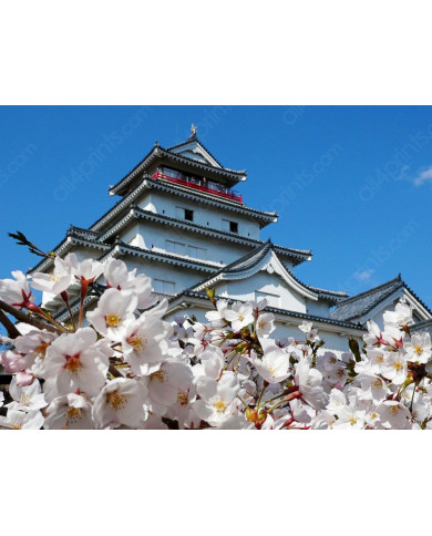 Castillo de Aizuwakamatsu,Japón Castillo de Aizuwakamatsu,Japón