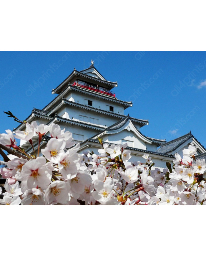 Castillo de Aizuwakamatsu,Japón