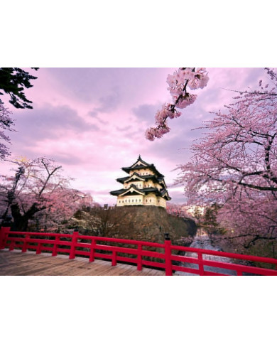 Castillo Hirosaki,Japón Castillo Hirosaki,Japón