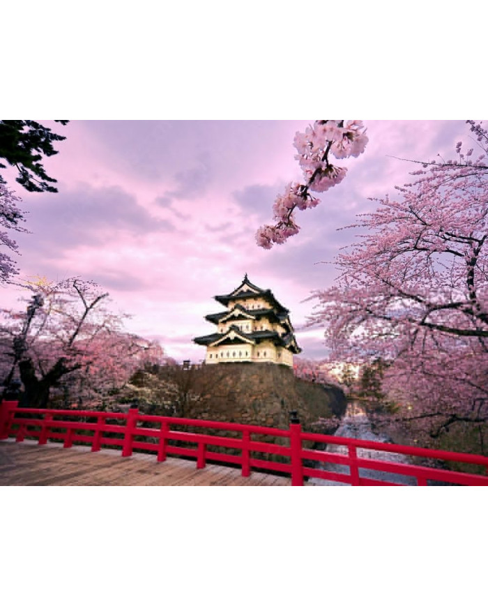 Castillo Hirosaki,Japón