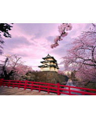 Castillo Hirosaki,Japón
