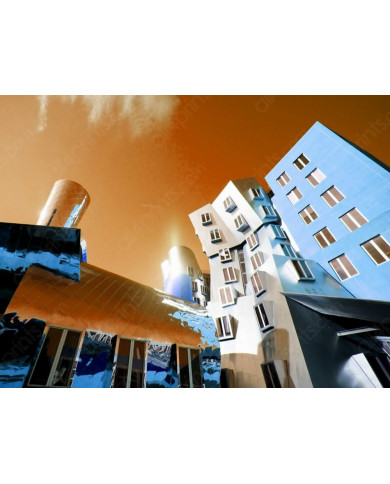 Centro Stata en Massachusetts,Frank Gehry Centro Stata en Massachusetts,Frank Gehry