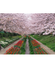 Rinoceronte,Parque Nacional Kruger,SudÀfrica