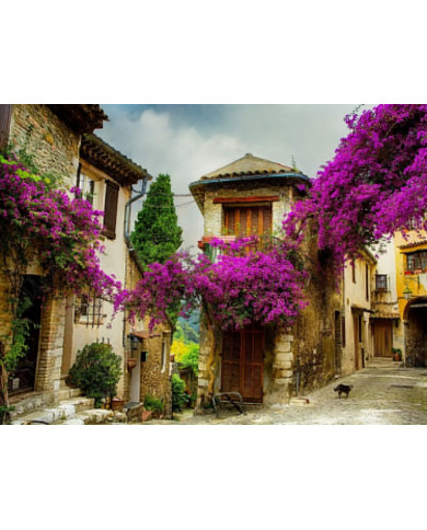 Provenza italiana Provenza italiana