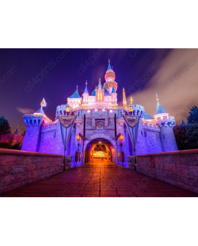 Sleeping Beauty Castle,Disneyland Sleeping Beauty Castle,Disneyland