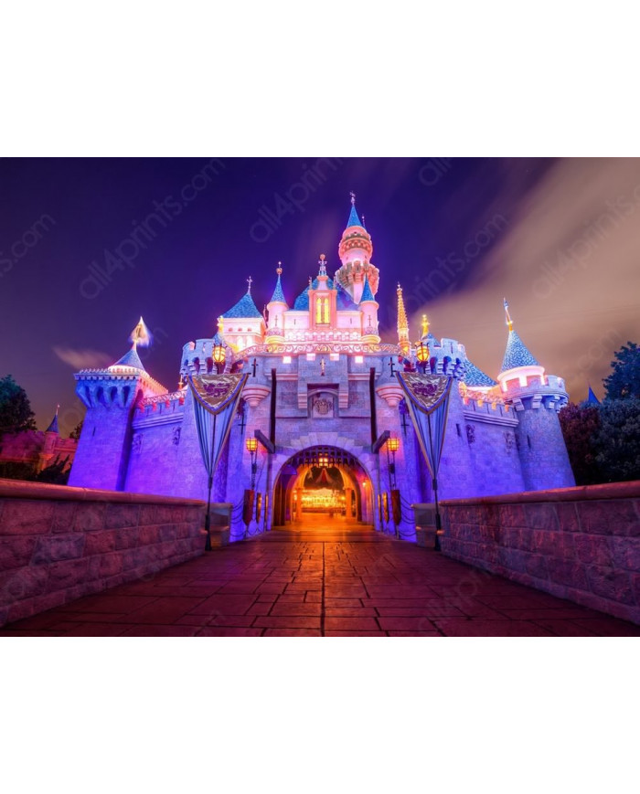 Sleeping Beauty Castle,Disneyland