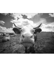 Yokohama junto al Monte Fuji,Japón