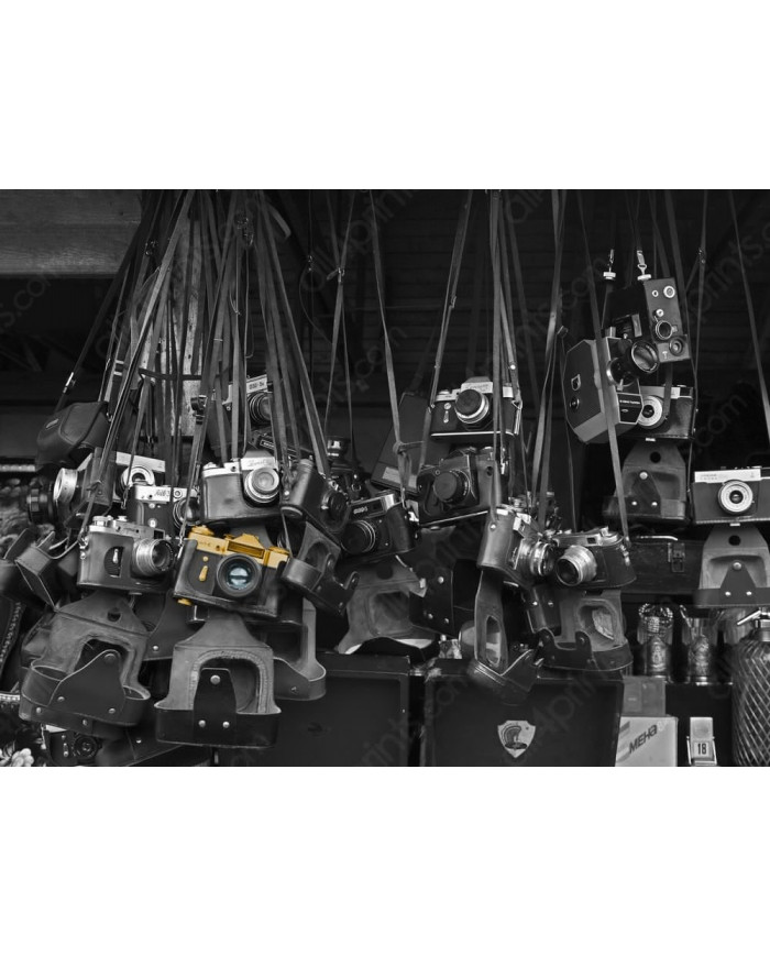 Vintage cameras