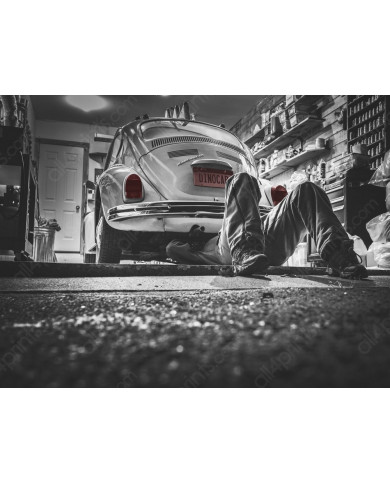Volkswagen Beetle Volkswagen Beetle