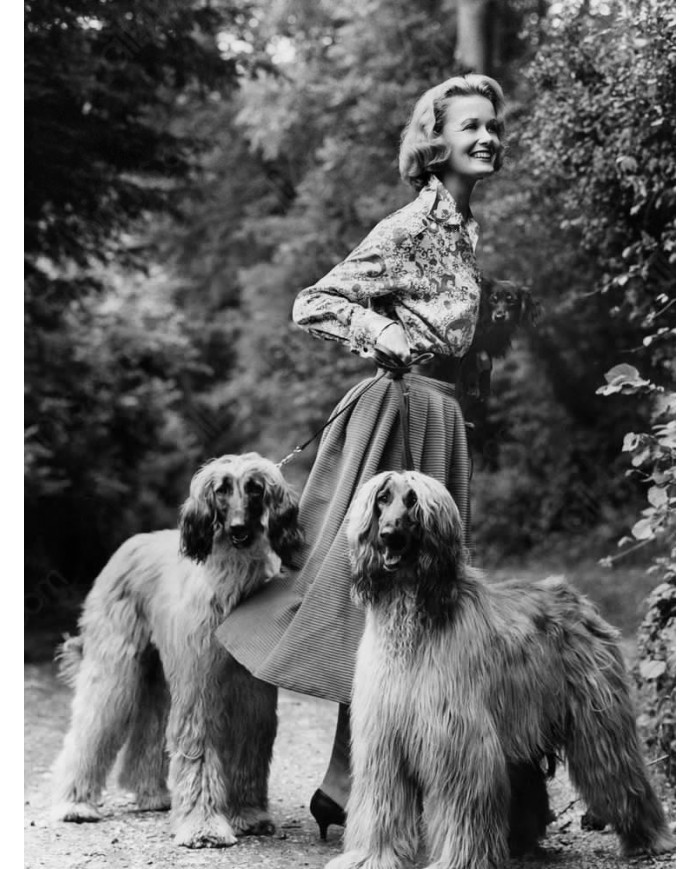 Woman with two afghans dogs,1957