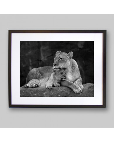 Leona con su cachorro, Parque Nacional Masai Mara, Kenia Leona con su cachorro, Parque Nacional Masai Mara, Kenia