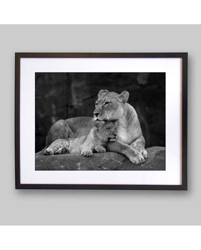 Leona con su cachorro, Parque Nacional Masai Mara, Kenia