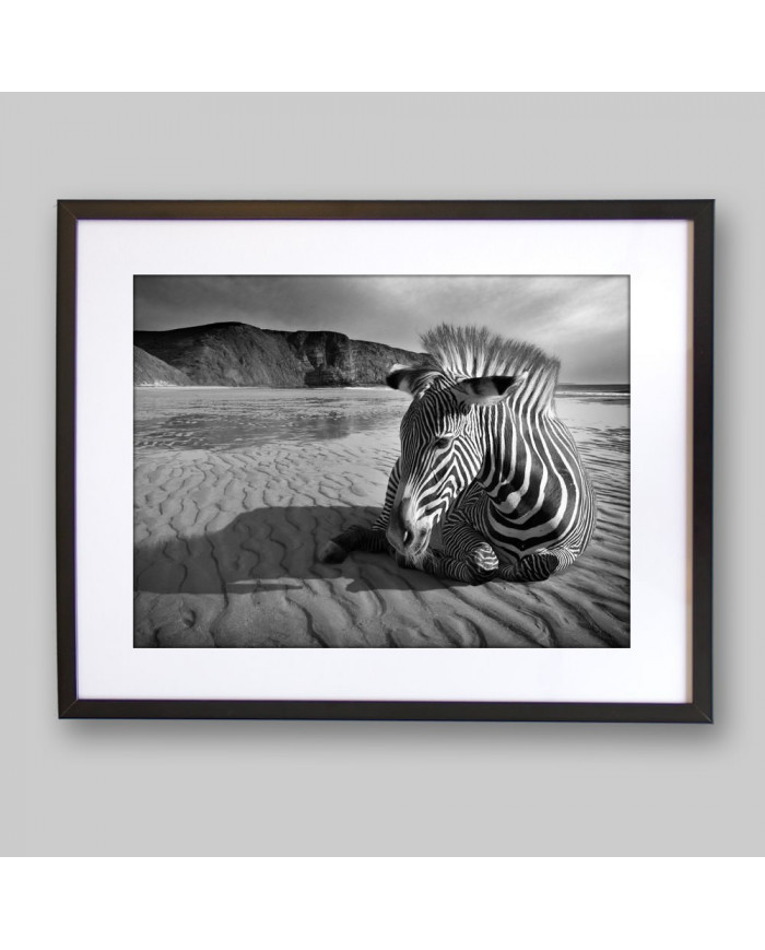 Cebra africana, Parque Nacional Kruger, SudÁfrica