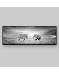 Elefante, Parque Nacional Serengueti, Tanzania