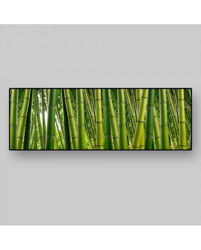 Bosque de bambús,India