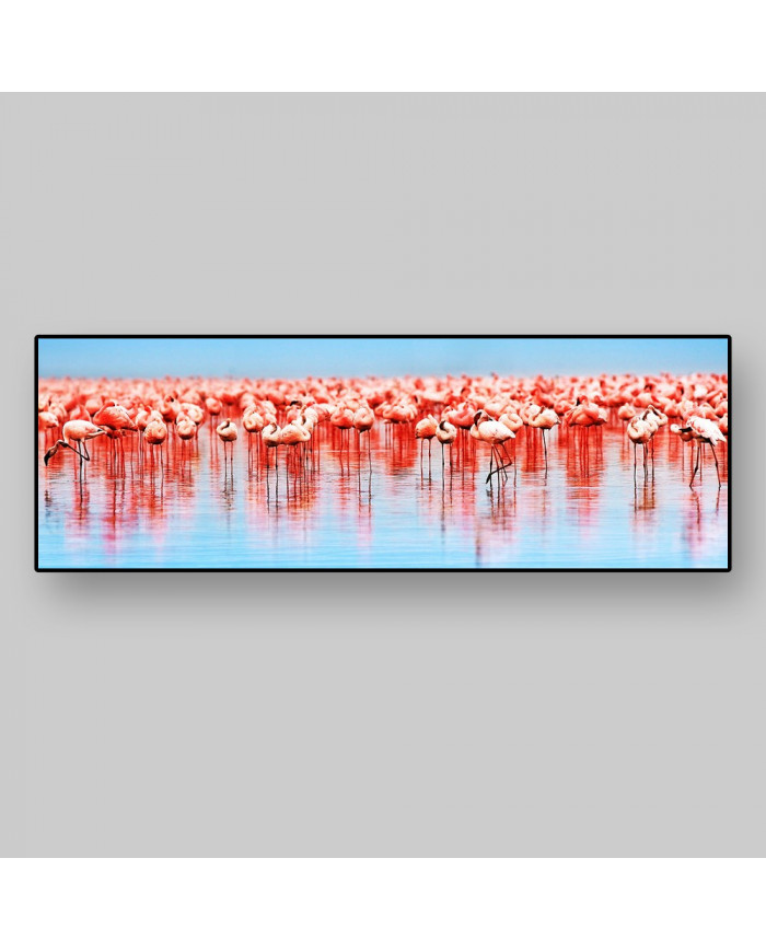 Flamencos,lago de Nakuru,Kenia