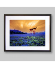 Tori Gate,Santuario Itsukushima,Hiroshima,Japón