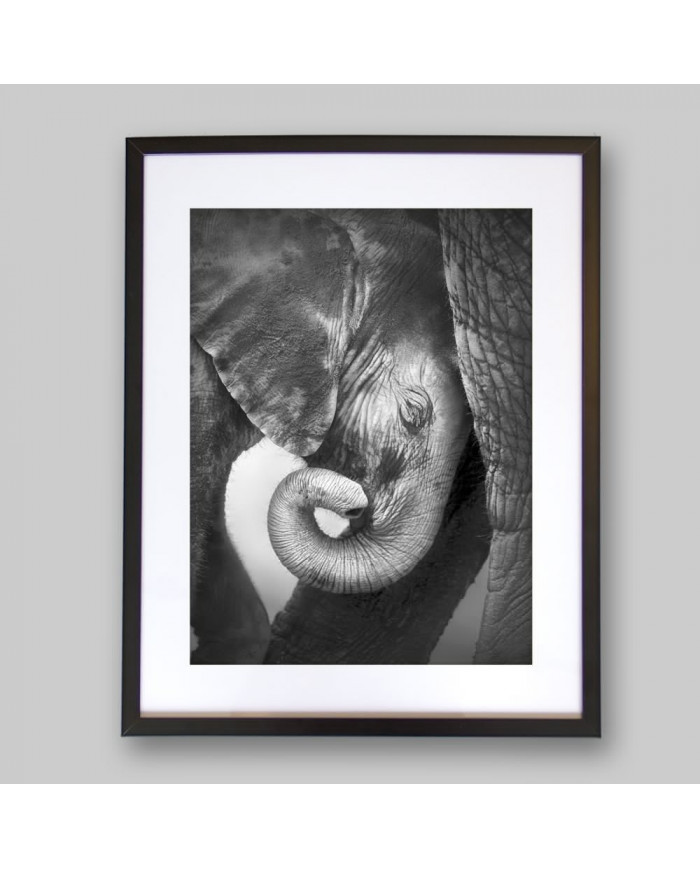 Bebé elefante consolándose con su madre, Parque Nacional Etosha, Namibia