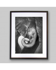 Bebé elefante consolándose con su madre, Parque Nacional Etosha, Namibia