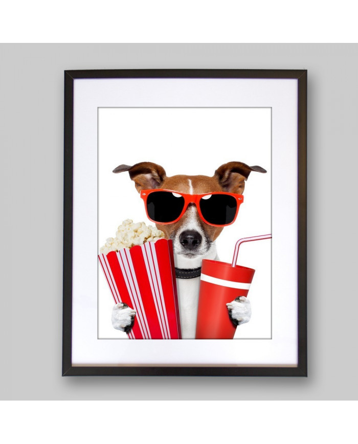 Perro afrancesado viendo una película