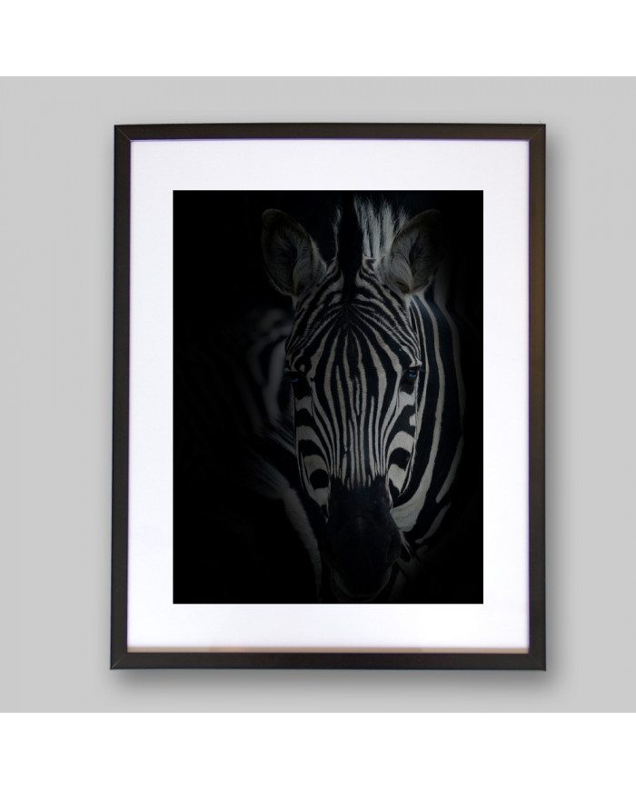 Retrato de una cebra  Parque Nacional Serengueti, Tanzania