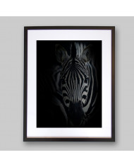 Retrato de una cebra  Parque Nacional Serengueti, Tanzania