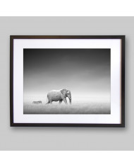 Elefante y cebra en el Parque Nacional de Etosha, Namibia
