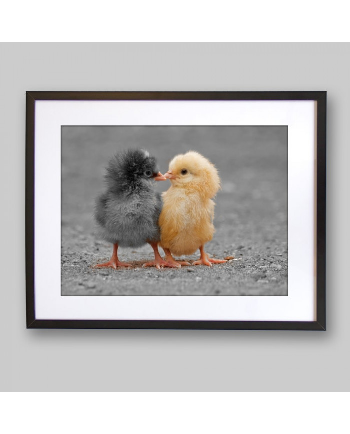 El beso de los pollitos