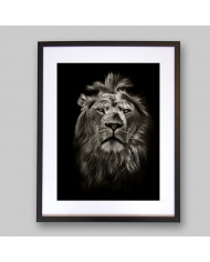 Retrato del león, Parque Nacional Masai Mara, Tanzania