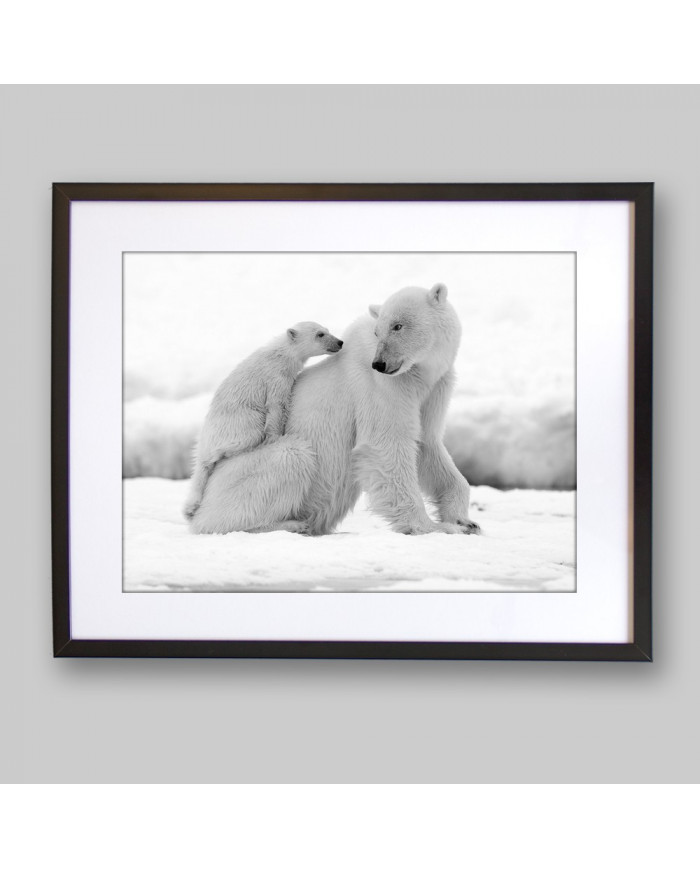 Oso polar con su cría