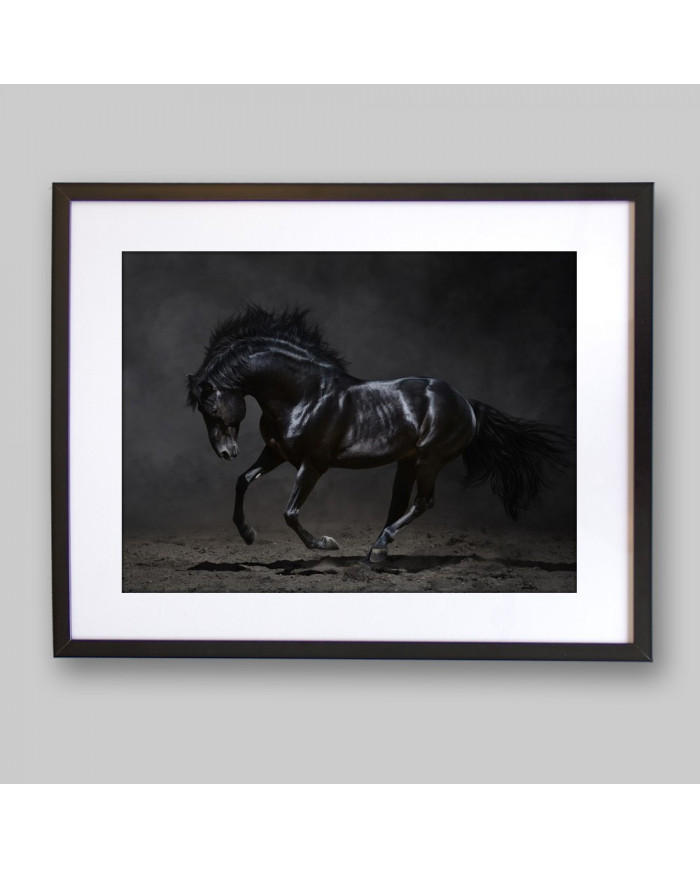 Caballo negro galopando