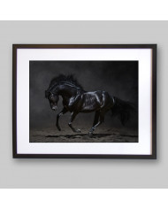 Caballo negro galopando