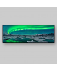 Vista panorámica, Arbola boreal en lago Jokulsarlon, Islandia