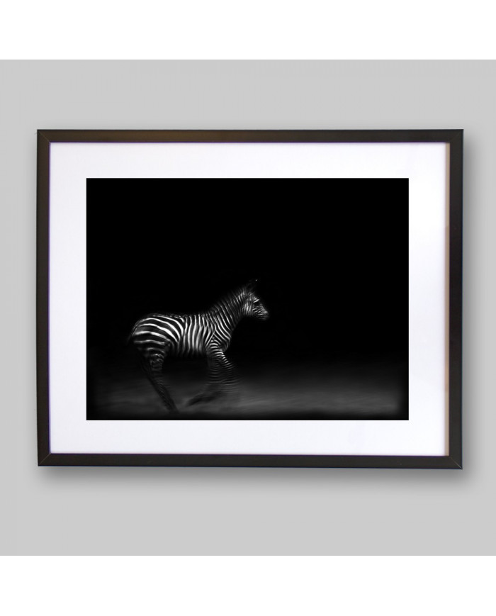 Cebra del Parque Nacional de Ngorongoro,Tanzania