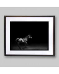 Cebra del Parque Nacional de Ngorongoro,Tanzania