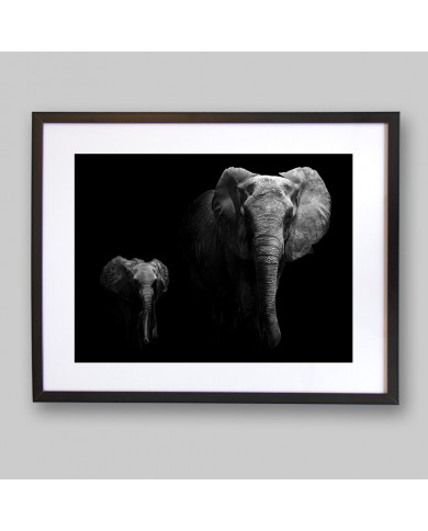 Portrait of an elephant with its calf, Serengu National Park