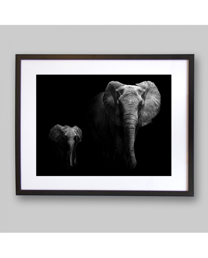 Retrato de un elefante con su cría,Parque Nacional Serengu