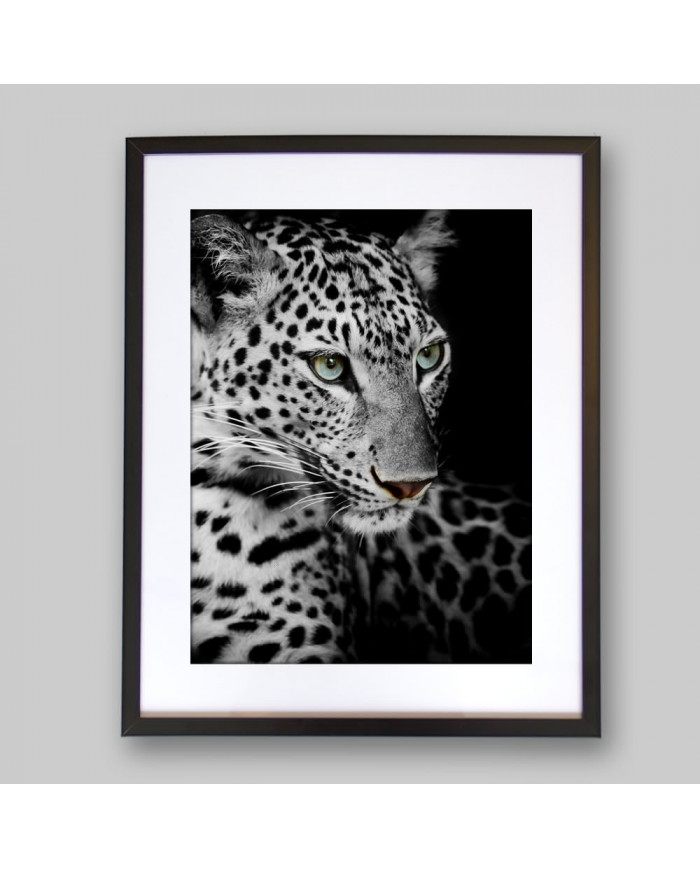 Retrato de un Leopardo